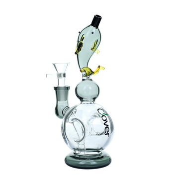 8" CLOVER Dolphin Donut Hole Water Pipe (WPE-315)