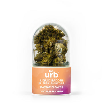 URB Liquid Badder THCA | THCP | THCB Caviar 7g Flower