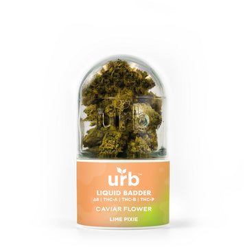 URB Liquid Badder THCA | THCP | THCB Caviar 7g Flower